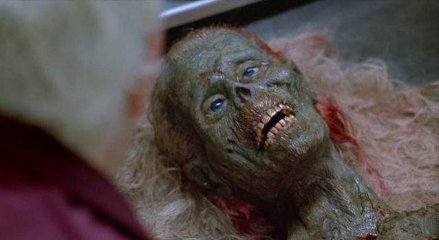 livingdead livingdead
