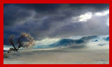 http://img68.xooimage.com/files/0/8/9/exteriores-2a90278.png
