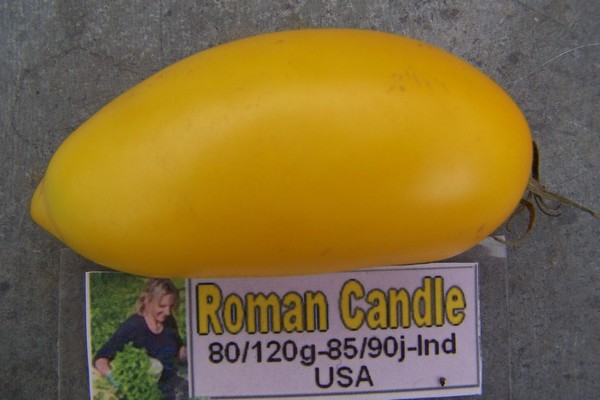 roman-candle-2b7299a.jpg