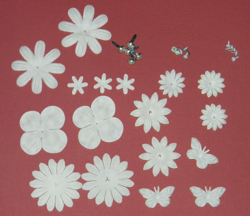 http://img68.xooimage.com/files/7/1/3/fleur-lot-blanc-29766e1.jpg