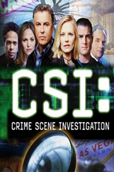 CSI Crime Scene Investigation 12x14 Sub Español Online