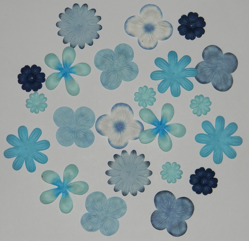 http://img68.xooimage.com/files/e/a/6/lot-fleurs-bleues-2950257.jpg