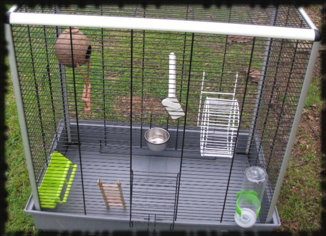Jenny KD (33) Cage-2f900f5